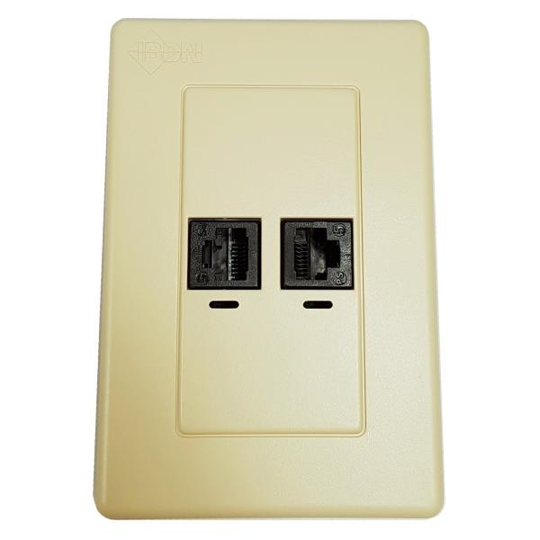 Double CAT5e (PS5E) Flush Mount Wallplate (Beige Plastic) - Belden
